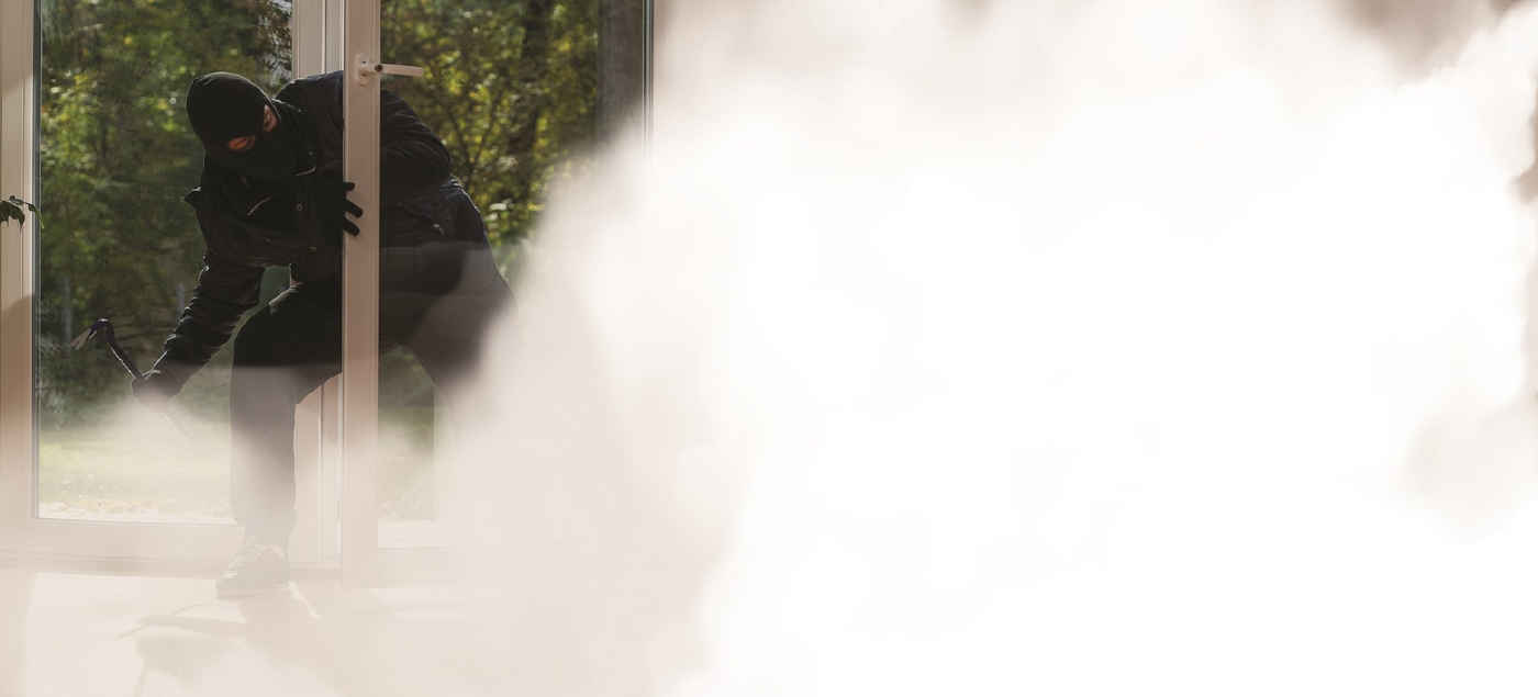 Urfog Schutznebelsystem Wohnhaus LSK-Überwachungstechnik Baden-Baden